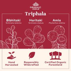 Organic India Triphala label detail showing organic, vegan, and non-GMO verification.