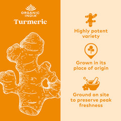 Organic India Turmeric Curcumin bottle side with serving size information for informed use