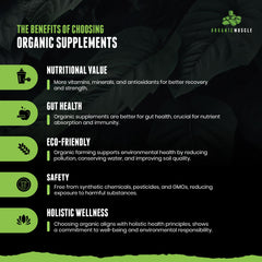 Organic Muscle preworkout scoop measures dosage for steady endurance