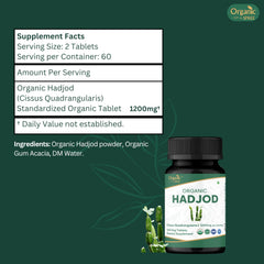 Organic Spree Hadjod tablets in hand illustrating portable, on-the-go wellness.