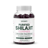 Organics Ocean Shilajit Gummies bottle shows premium Himalayan extract for natural energy support