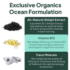 Organics Ocean Shilajit Gummies packaging box conveys product origin and quality