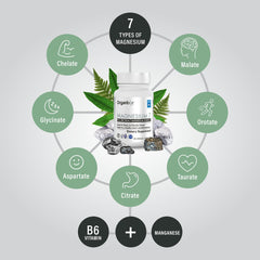 Organixx 7-forms graphic illustrating seven bioavailable magnesium forms.