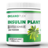 Organoplex Insulin Plant Powder bottle for daily use in smoothies or yogurt.
