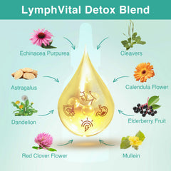Owegel Liposomal Drainage Drops dropper demonstrates precise 2 ml dosing for daily use.