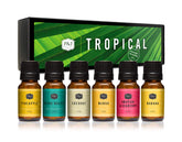 P&J Trading &J Tropical Set gift box showcasing premium fragrances for DIY projects