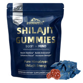 PANWELL Shilajit Gummies, Himalayan-origin focus, supports daily energy.
