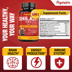 Papnami Shilajit Himalayan capsules packaging box: trusted quality and ingredient overview.