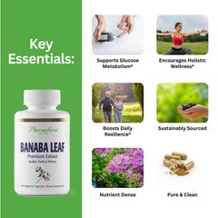 Paradise Herbs Banaba Leaf 12:1 extract capsules ready for daily use.