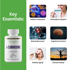 Close-up of Paradise Herbs L-Carnosine capsules showing compact, potent form.