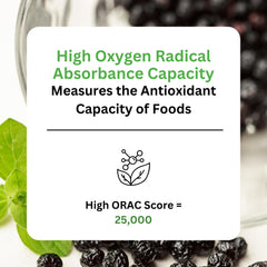 Close-up label detail of Paradise Herbs Maqui Berry Extract highlighting potency.