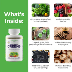 Paradise Herbs ORAC Energy ingredient blend highlighting greens, fruits, and herbs