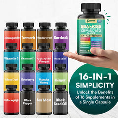 Ashwagandha and Turmeric capsules from Parrox suggest balanced daily wellness.