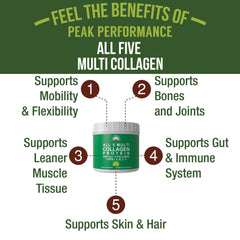 Peak Performance All 5 collagen powder scoop beside container for easy daily use.