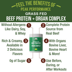 Peak Performance dairy-free protein scoop emphasizes lactose-free option for athletes