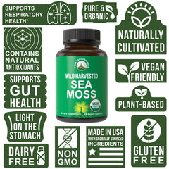 Peak Performance Irish sea moss raw bundle from wild harvest origins