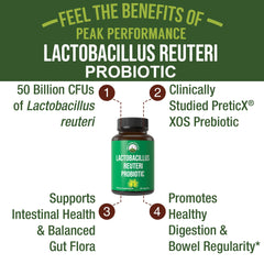 Peak Performance LR Reuteri capsules close-up for daily digestive support