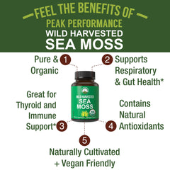 Peak Performance sea moss capsules closeup highlighting 1200mg per serving for potency