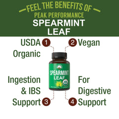 Peak Performance spearmint leaf close-up shows natural quality and aromatic freshness