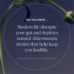 Pendulum Akkermansia probiotic bottle back shows supplement facts and ingredients.