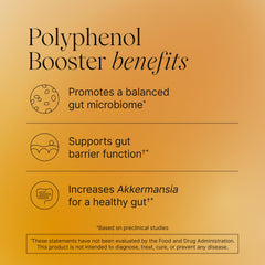 Pendulum Polyphenol Booster bottle label details highlight polyphenol-rich ingredients