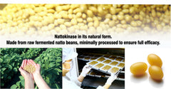 PHARMAKON fermented soybean extract ingredient highlights organic fermentation origins