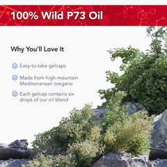 Physician's Strength P73 oregano oil gelcaps highlighted for potent wild oregano oil use.