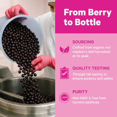 Pink Stork Organic Vitex capsules illustrating convenient daily support for hormonal rhythm