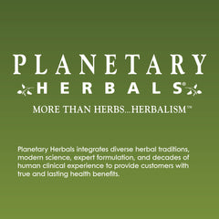 Planetary Herbals Triphala capsules in hand for on-the-go digestion.
