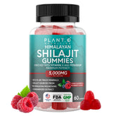 PLANT.O NUTRITION Shilajit Gummies raspberry bottle for daily energy support.