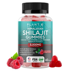 PLANT.O NUTRITION Shilajit Gummies raspberry bottle for daily energy support.