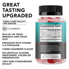 PLANT.O NUTRITION Shilajit Gummies close-up gummy texture for energy support.