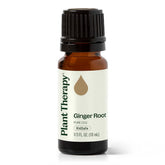Plant Therapy Aceite esencial jengibre CO2 en botella de 10 mL para aromaterapia.