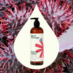 Plant Therapy Castor Oil USDA Organic label confirms certified quality.