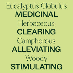 Plant Therapy eucalyptus globulus GC-MS report validating batch testing and purity