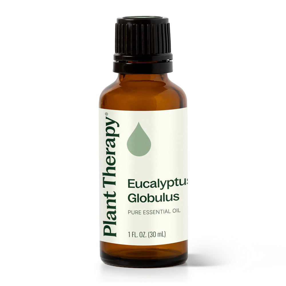 Plant Therapy Eucalyptus Globulus oil bottle pour enhances diffuser aroma for breathing-friendly spaces.