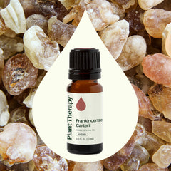 Plant Therapy Frankincense Carterii in a diffuser scene, promoting a calming aroma.