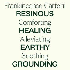 Plant Therapy Frankincense Carterii beside carrier oil for gentle topical application.