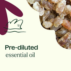 Plant Therapy Frankincense Carterii para piel, mejora la hidratación con uso tópico suave.