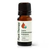 Plant Therapy Frankincense Frereana oil bottle ready for aromatherapy sessions.