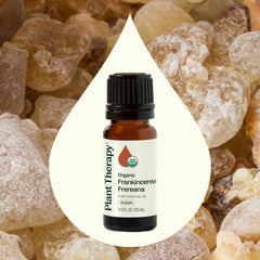 Plant Therapy Frankincense Frereana oil dropper close-up for precise dosing.
