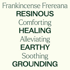 Plant Therapy Frankincense Frereana oil in face cream for gentle skin care.