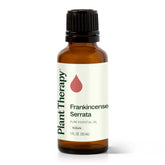 Plant Therapy Frankincense Serrata bottle for pure aromatherapy use.