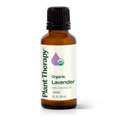 Plant Therapy lavender oil bottle ready for diffusion and topical care.