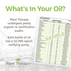 Plant Therapy Marjoram Sweet outer packaging, organic label visible.