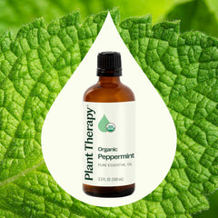 Plant Therapy peppermint oil dropper close-up showing purity and aroma
