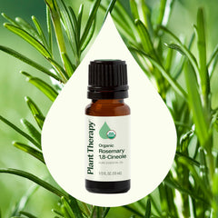Difusor con romero Plant Therapy para un ambiente vigorizante y claro.