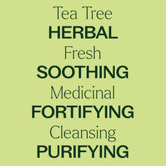 Plant Therapy Tea Tree bottle label highlights botanical name and origin.