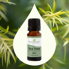 Plant Therapy Tea Tree Roll-On in use for aromatherapy and mood support.