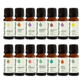 Plant Therapy Lavender bottle for diffusion and calming topical use.